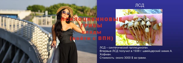 молекула духа Алексеевка