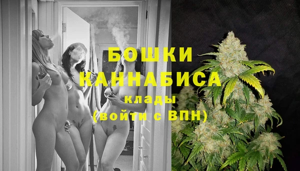 молекула духа Алексеевка